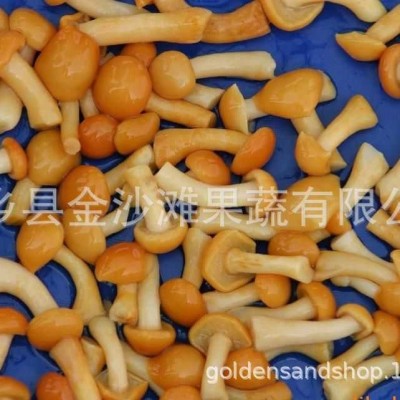 常年速冻滑子菇，质量保证 专业做速冻滑子菇图5