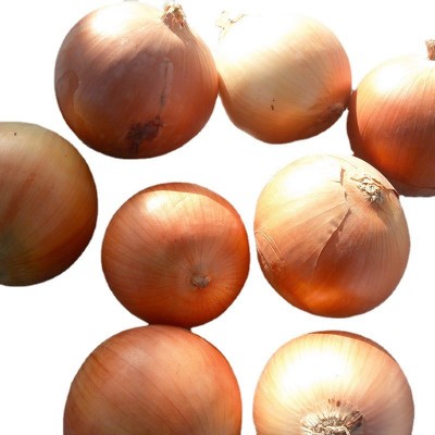 大量提供红皮、黄皮洋葱 量大从优 长期供应 价格优惠