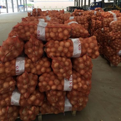 大量提供红皮、黄皮洋葱 量大从优 长期供应 价格优惠图5