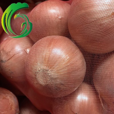 保鲜黄洋葱 9CM以上 工厂直供 甘肃产地 备案基地 出口韩国 BRC图2