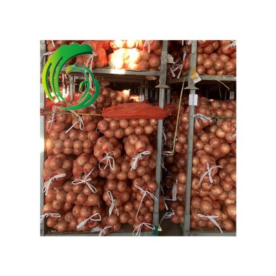 保鲜黄洋葱 9CM以上 工厂直供 甘肃产地 备案基地 出口韩国 BRC图3