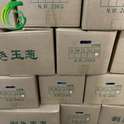 剥皮充氮 甘肃洋葱 工厂直供 备案种植基地产 出口 韩国 东南亚图4