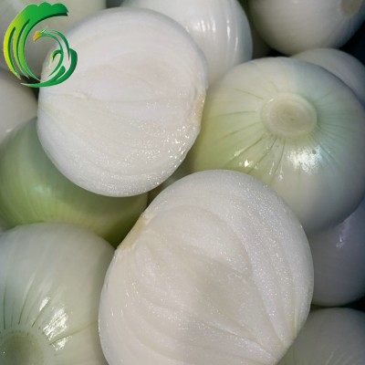 剥皮充氮 甘肃洋葱 工厂直供 备案种植基地产 出口 韩国 东南亚图3