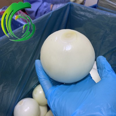 剥皮充氮 甘肃洋葱 工厂直供 备案种植基地产 出口 韩国 东南亚