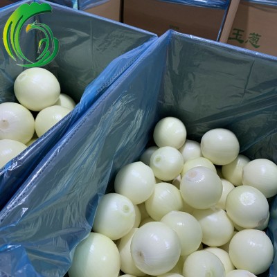 剥皮充氮 甘肃洋葱 工厂直供 备案种植基地产 出口 韩国 东南亚图2