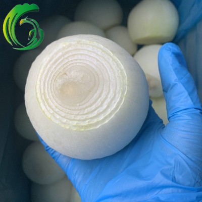 冷冻洋葱球 工厂直供 备案种植基地 出口 中东 HACCP BRC FDA图3