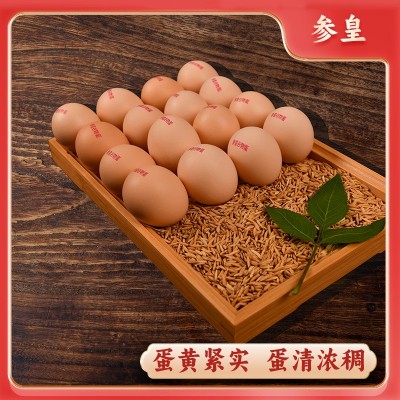 2025参皇五谷喂养鸡蛋农家自产30枚装新鲜谷物蛋整箱供应营养图3