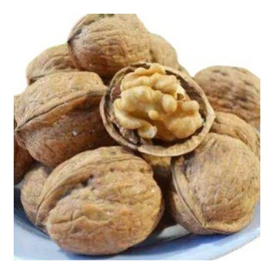 新货上市，常年供应核桃，质量保证 价格优惠