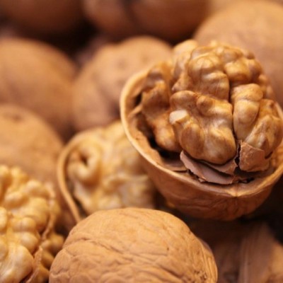 新货上市，常年供应核桃，质量保证 价格优惠图3