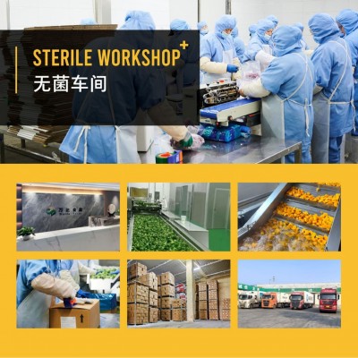 速冻橘子瓣，当季高品质冷冻橘子，工厂直销出口速冻橘子瓣图3