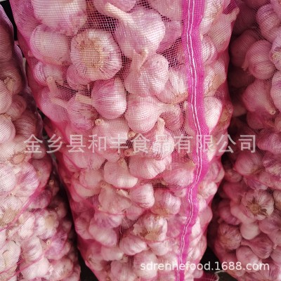 金乡大蒜 紫皮大蒜 各种规格 产地工厂直发