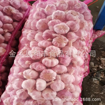 金乡大蒜 紫皮大蒜 各种规格 产地工厂直发图2