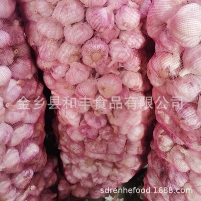 金乡大蒜 紫皮大蒜 各种规格 产地工厂直发图4