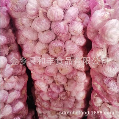 金乡大蒜 紫皮大蒜 各种规格 产地工厂直发图3