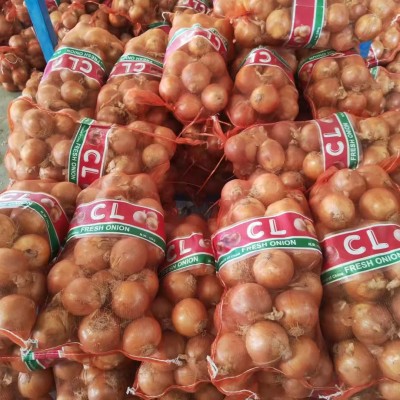 出口洋葱黄洋葱红洋葱源头厂家保鲜洋葱网袋包装可商检大量现货处图2