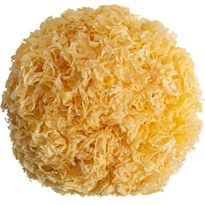 【源头厂家直销】古田银耳独立装 地标 干货 白木耳 单朵银耳整朵图4