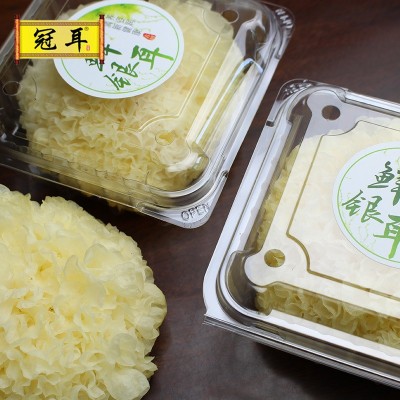 地理标识 鲜银耳6朵顺丰 现摘新鲜银耳古田白木耳易糯多胶代发图3