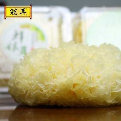 地理标识 鲜银耳6朵顺丰 现摘新鲜银耳古田白木耳易糯多胶代发图4