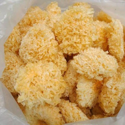 古田特产 大花银耳食用菌干货银耳羹出胶易煮雪耳糯耳 厂家批发图3