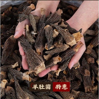 云南羊肚菌干货500克包邮 菌菇汤包煲汤食材礼盒批发一件代发图5