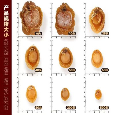 大连鲍鱼干250克淡干无添加海鲜干货批发佛跳墙原料干鲍鱼黄金鲍图4