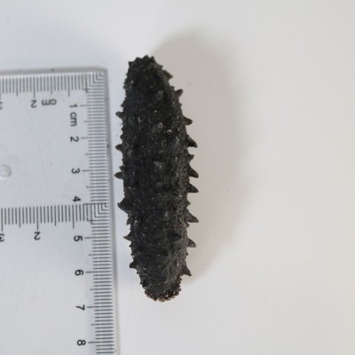 顺丰直邮大连海参干货辽参淡干海参辽参干货干制老辽海参高端礼盒图5