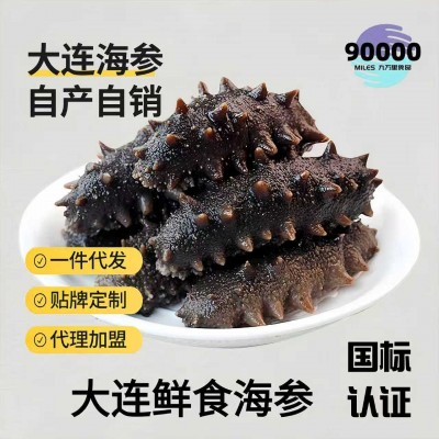 国标即食海参冷冻大连刺参500g袋装厂家批发顺丰发货鲜食海参厂家