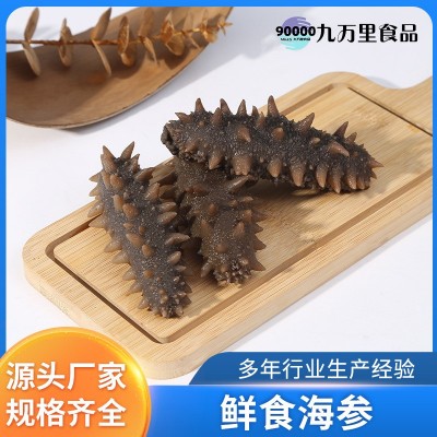 工厂直营批发大连鲜食海参辽刺参一手货源海参劲道口感500g