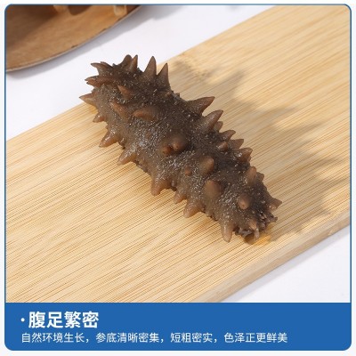 工厂直营批发大连鲜食海参辽刺参一手货源海参劲道口感500g图4