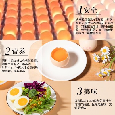 可生食无抗富硒 叶黄素土鸡蛋虫草蛋新鲜鸡蛋流心温泉蛋40枚批发图2