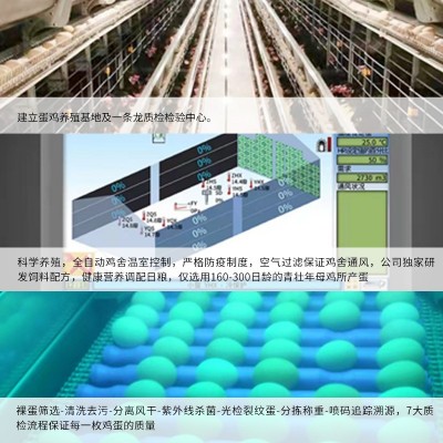 可生食无抗富硒 叶黄素土鸡蛋虫草蛋新鲜鸡蛋流心温泉蛋40枚批发图3