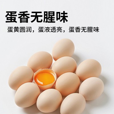 可生食鸡蛋30枚1.5kg大蛋源头工厂食无抗认证高蛋白鲜蛋鲜鸡蛋图3