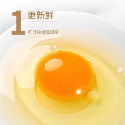 岗淮鸡蛋50g新鲜精选大10枚20枚30枚50枚谷物喂养发货严选图2