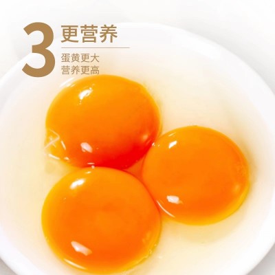 岗淮鸡蛋50g新鲜精选大10枚20枚30枚50枚谷物喂养发货严选图4