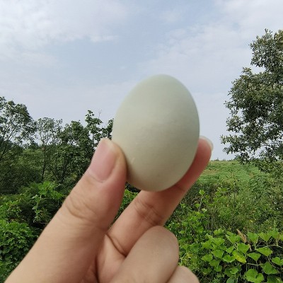 农家新鲜绿壳土鸡蛋林间散养草鸡柴鸡谷物现捡现发当季食用图2