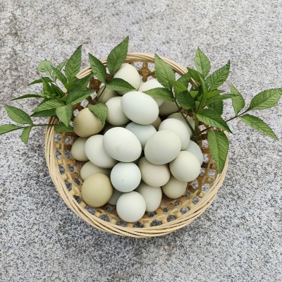 农家新鲜绿壳土鸡蛋林间散养草鸡柴鸡谷物现捡现发当季食用图3