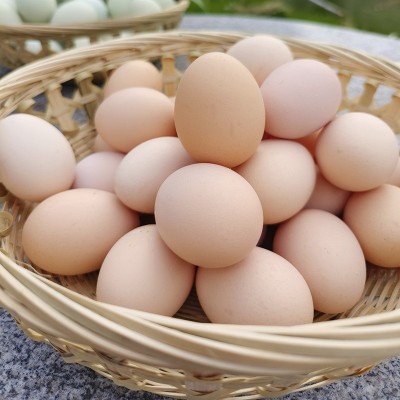 农家新鲜绿壳土鸡蛋林间散养草鸡柴鸡谷物现捡现发当季食用图7