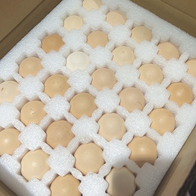 农家新鲜绿壳土鸡蛋林间散养草鸡柴鸡谷物现捡现发当季食用图8