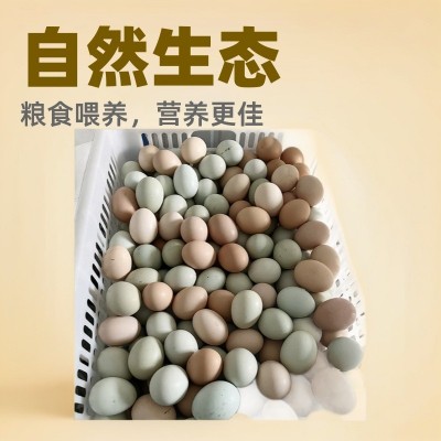 农家新鲜绿壳土鸡蛋林间散养草鸡柴鸡谷物现捡现发当季食用图5