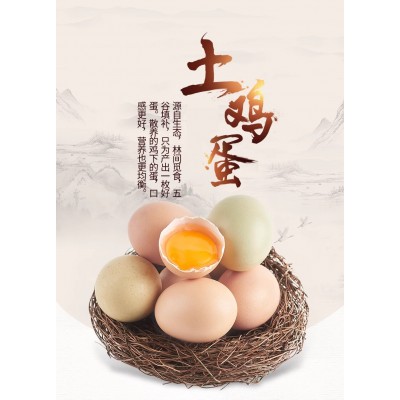 苏北果园散养新鲜土鸡蛋30枚/盒图4