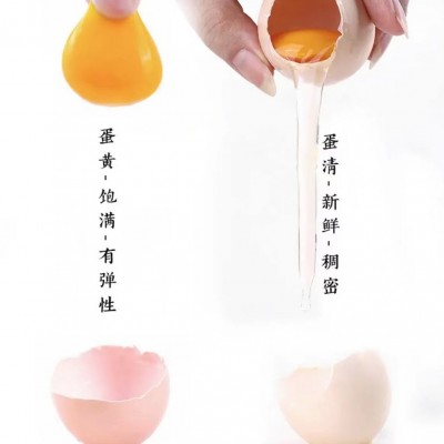 苏北果园散养新鲜土鸡蛋30枚/盒图2