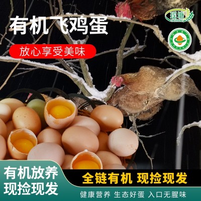 有机认证土鸡蛋养殖场批发鸡蛋 新鲜山地生态土鸡蛋供应销售