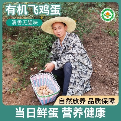 有机认证土鸡蛋养殖场批发鸡蛋 新鲜山地生态土鸡蛋供应销售图5