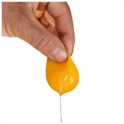 有机认证土鸡蛋养殖场批发鸡蛋 新鲜山地生态土鸡蛋供应销售图4