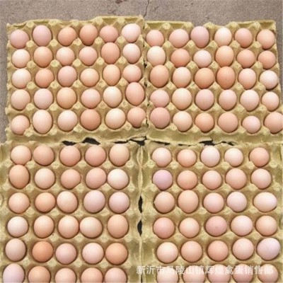 大量批发新鲜散养土鸡蛋草鸡蛋笨鸡蛋粉壳鲜鸡蛋量大价优个头小图4