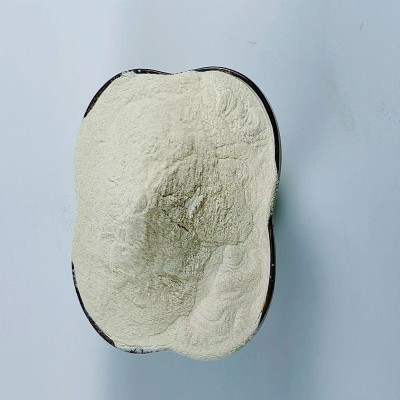 ✅土豆全粉马铃薯全粉土豆生粉脱水蔬菜粉洋山芋全粉现货散装批发图5