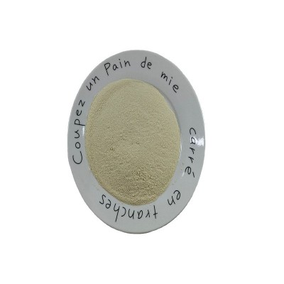 ✅脱水蒜粉商用批发蒜香粉散装批发脱水大蒜头粉图5