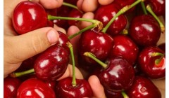 “车厘子自由”只是一个开始