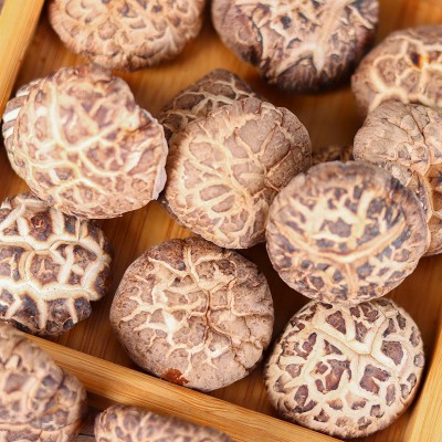 云南花菇干货批发香菇干货肉厚冬菇花菇厂家批发代发抖音直播图3