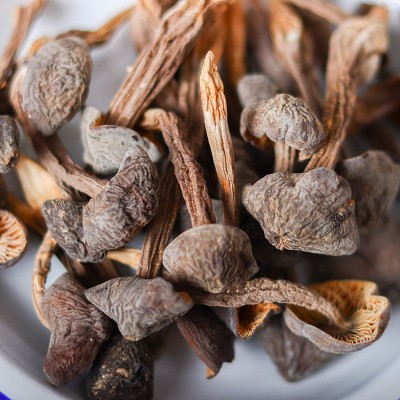 云南黑皮鸡枞菌鸡棕菇荔枝非野生菌山珍蘑菇干鸡枞菌干货散装批发图3